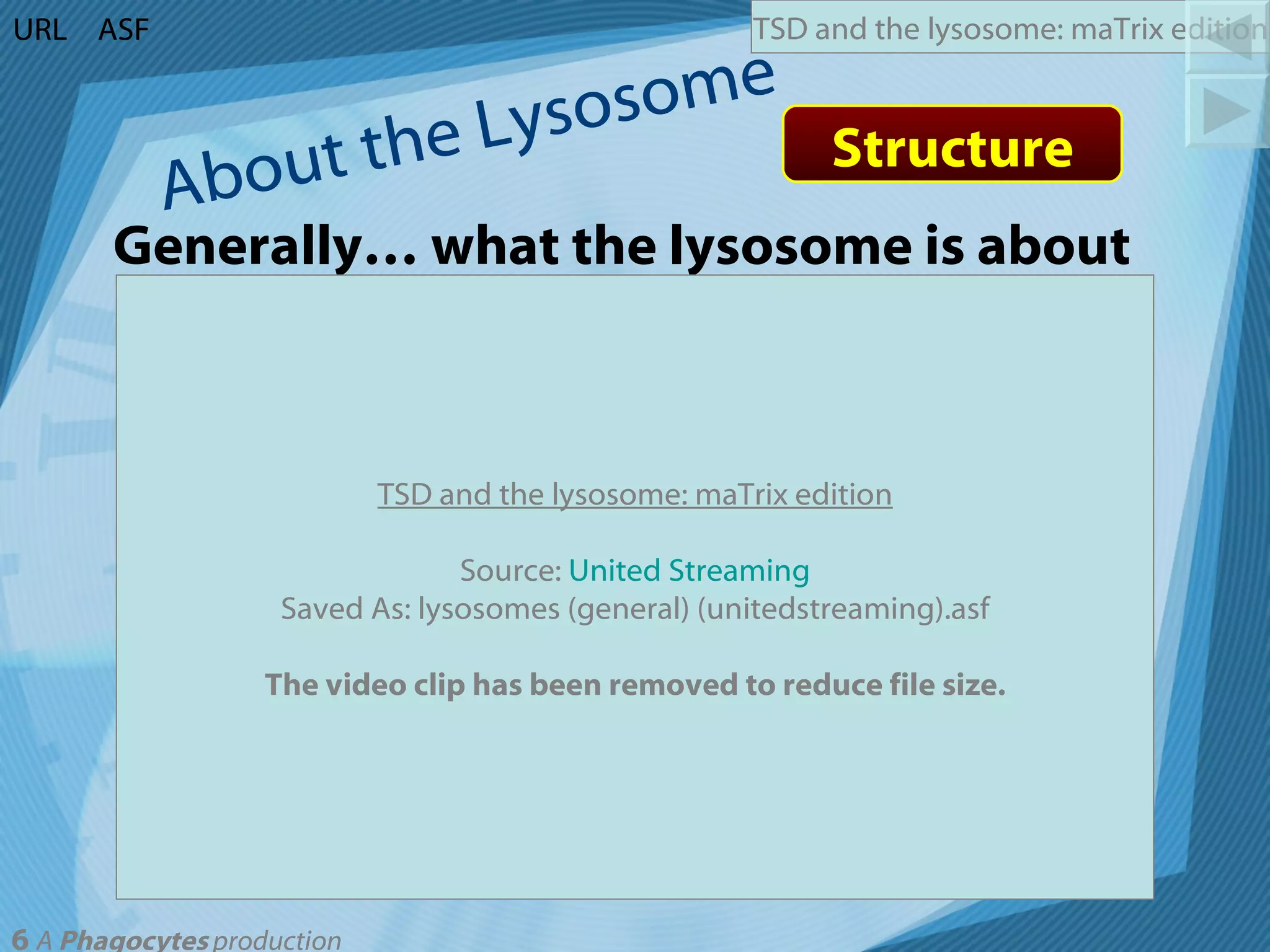 About the Lysosome URL ASF Structure Generally… what the lysosome is about TSD and the lysosome: maTrix edition Source:  United Streaming Saved As: lysosomes (general) (unitedstreaming).asf The video clip has been removed to reduce file size. 
