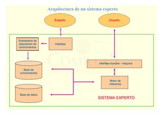 Sistemas expertos - 25
ESCUELA TÉCNICA SUPERIOR DE INGENIERÍA
DDDDEPARTAMENTO DEEPARTAMENTO DEEPARTAMENTO DEEPARTAMENTO DE OOOORGANIZACIÓNRGANIZACIÓNRGANIZACIÓNRGANIZACIÓN IIIINDUSTRIALNDUSTRIALNDUSTRIALNDUSTRIAL
Arquitectura de un sistema experto
ExpertoExpertoExpertoExperto
Base deBase deBase deBase de
conocimientosconocimientosconocimientosconocimientos
Base de datosBase de datosBase de datosBase de datos
Motor deMotor deMotor deMotor de
inferenciainferenciainferenciainferencia
Interfase hombreInterfase hombreInterfase hombreInterfase hombre ---- mmmmááááquinaquinaquinaquina
UsuarioUsuarioUsuarioUsuario
SISTEMA EXPERTOSISTEMA EXPERTOSISTEMA EXPERTOSISTEMA EXPERTO
InterfaseInterfaseInterfaseInterfase
Subsistema deSubsistema deSubsistema deSubsistema de
adquisiciadquisiciadquisiciadquisicióóóón den den den de
conocimientosconocimientosconocimientosconocimientos
 