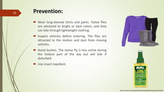 Prevention:
 Wear long-sleeved shirts and pants. Tsetse flies
are attracted to bright or dark colors, and they
can bite through lightweight clothing.
 Inspect vehicles before entering. The flies are
attracted to the motion and dust from moving
vehicles.
 Avoid bushes. The tsetse fly is less active during
the hottest part of the day but will bite if
disturbed.
 Use insect repellent.
11
https://www.cdc.gov/parasites/sleepingsickness/prevent.html
 