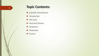Topic Contents:
 Scientific Classification
 Introduction
 Life Cycle
 Host And Disease
 Symptoms
 Prevention
 Control
4
 