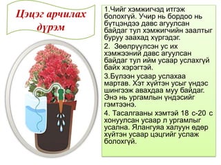 1.Чийг хэмжигчэд итгэж
болохгүй. Учир нь бордоо нь
бүтцэндээ давс агуулсан
байдаг тул хэмжигчийн заалтыг
буруу заахад хүргэдэг.
2. Зөөлрүүлсэн ус их
хэмжээний давс агуулсан
байдаг тул ийм усаар услахгүй
байх хэрэгтэй.
3.Бүлээн усаар услахаа
мартав. Хэт хүйтэн усыг үндэс
шингээж авахдаа муу байдаг.
Энэ нь ургамлын үндэсийг
гэмтээнэ.
4. Тасалгааны хэмтэй 18 с-20 с
хонуулсан усаар л ургамлыг
усална. Ялангуяа халуун өдөр
хүйтэн усаар цэцгийг услаж
болохгүй.
Цэцэг арчилах
дүрэм
 