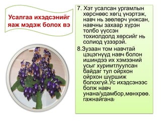 7. Хэт усалсан ургамлын
хөрснөөс хөгц үнэртэж,
навч нь зөөлөрч унжсан,
навчны захаар хүрэн
толбо үүссэн
тохиолдолд хөрсийг нь
солиод үзээрэй.
8.Зузаан том навчтай
цэцэгнүүд навч болон
ишиндээ их хэмээний
усыг хуримтлуулсан
байдаг тул ойрхон
ойрхон шүршиж
болохгүй.Ус ихэдсэнээс
болж навч
унана/удамбор,мөнхрөө.
гажнайгана/
Усалгаа ихэдсэнийг
яаж мэдэж болох вэ
 