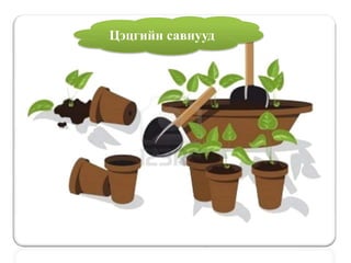 Цэцгийн савнууд
 