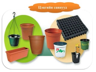 Цэцгийн савнууд
 