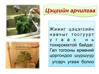 Жижиг цэцэгсийн
н а вч ы г т о с г у у р т
у г а а х н ь
тохиромжтой байдаг.
Гал тогооны өрөөний
цоргондоо шүршүүр
угсарч угааж болно
Цэцгийн арчилгаа
 