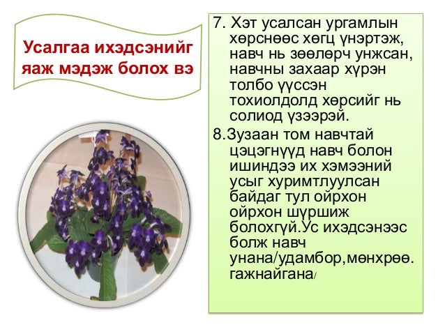 Tsetseg