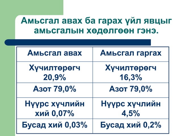 Амьсгалын тогтолцоо | PPT