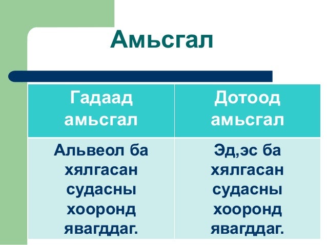 Амьсгалын тогтолцоо