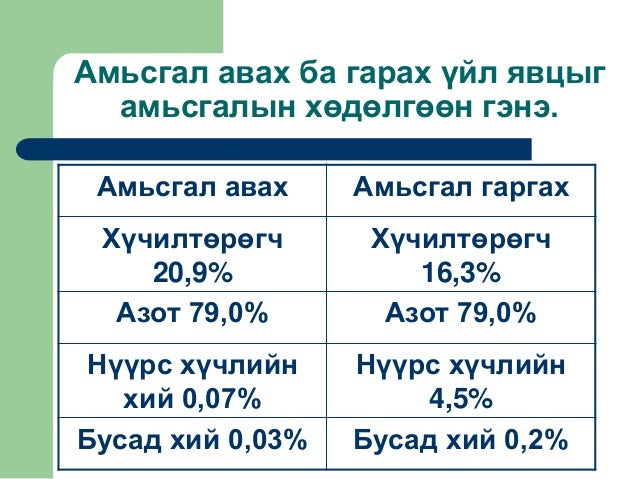 Амьсгалын тогтолцоо