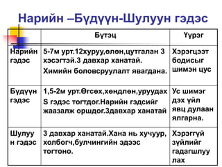 Хоол боловсруулах тогтолцоо | PPT