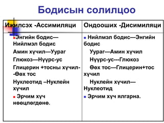 Хоол боловсруулах тогтолцоо | PPT