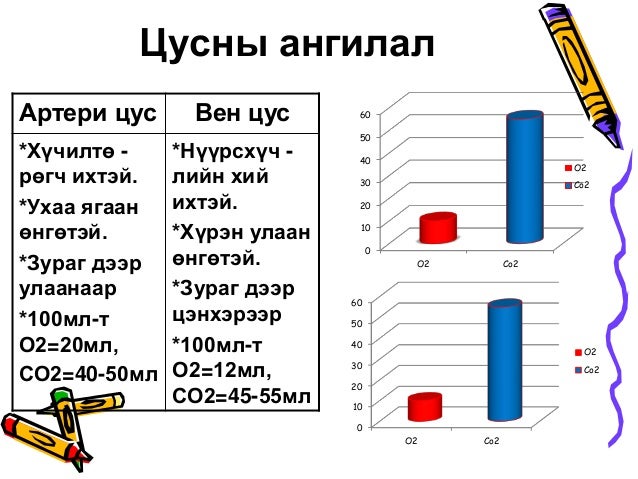Цусны эргэлтийн тогтолцоо