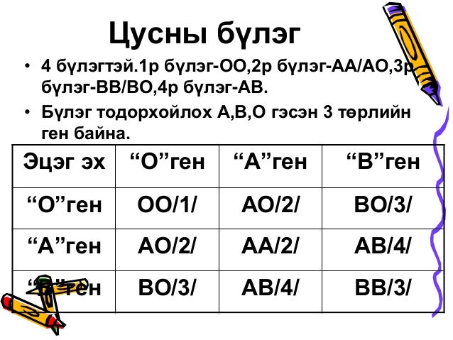 Цусны эргэлтийн тогтолцоо