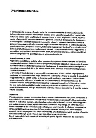 Ts giovane programma_bilancio