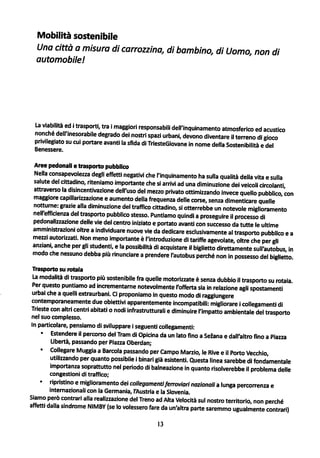 Ts giovane programma_bilancio