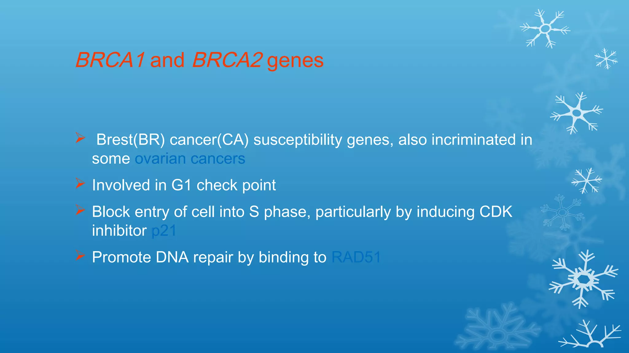 BRCA1 and BRCA2 genes
 Brest(BR) cancer(CA) susceptibility genes, also incriminated in
some ovarian cancers
 Involved in G1 check point
 Block entry of cell into S phase, particularly by inducing CDK
inhibitor p21
 Promote DNA repair by binding to RAD51
 