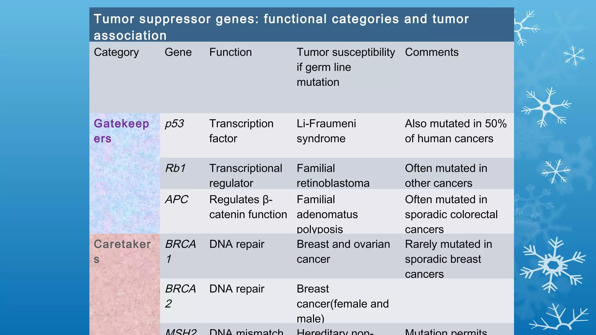 Tumor suppressor genes: functional categories and tumor
association
Category Gene Function Tumor susceptibility
if germ line
mutation
Comments
Gatekeep
ers
p53 Transcription
factor
Li-Fraumeni
syndrome
Also mutated in 50%
of human cancers
Rb1 Transcriptional
regulator
Familial
retinoblastoma
Often mutated in
other cancers
APC Regulates β-
catenin function
Familial
adenomatus
polyposis
Often mutated in
sporadic colorectal
cancers
Caretaker
s
BRCA
1
DNA repair Breast and ovarian
cancer
Rarely mutated in
sporadic breast
cancers
BRCA
2
DNA repair Breast
cancer(female and
male)
 