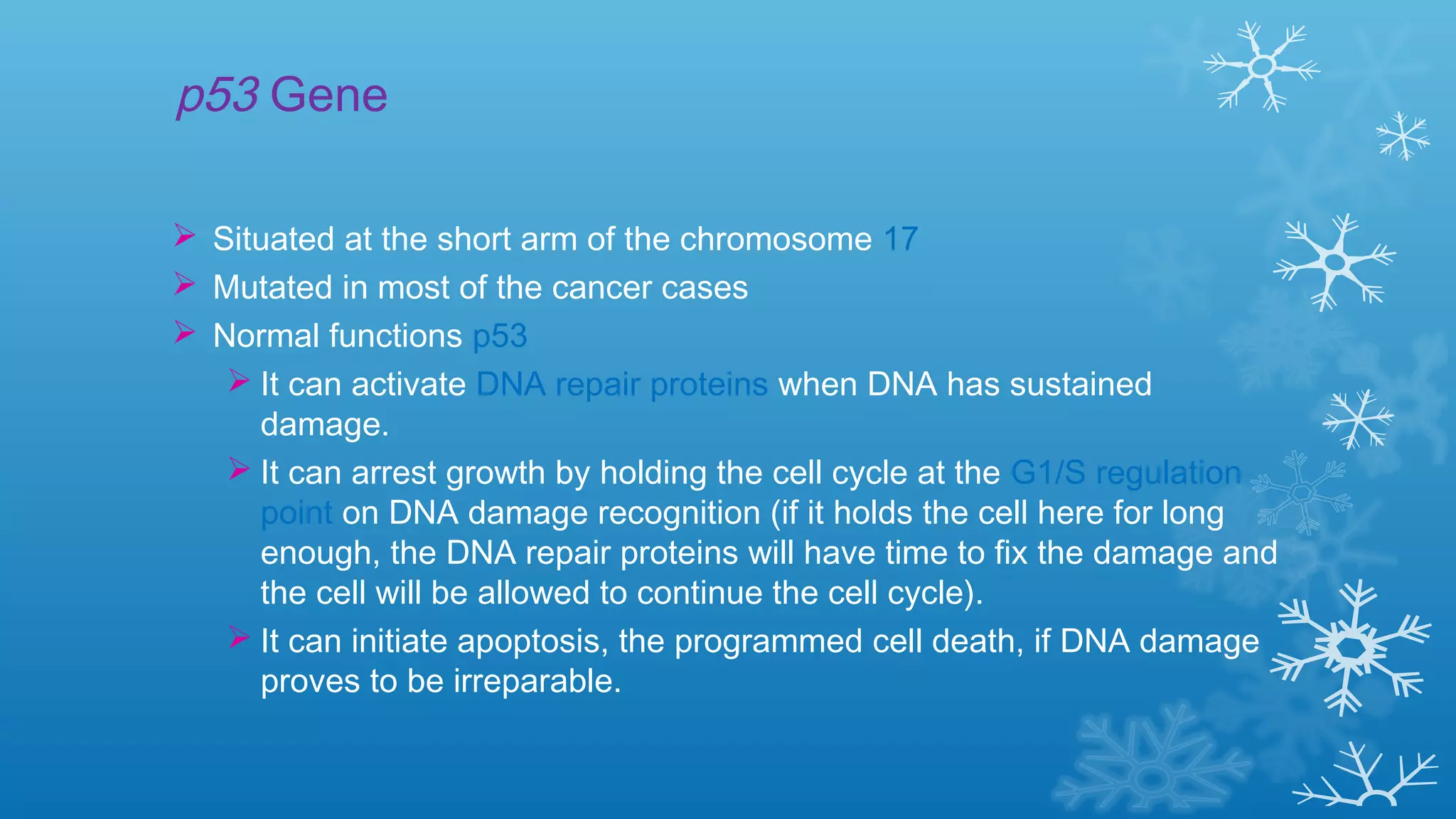 p53 Gene
 Situated at the short arm of the chromosome 17
 Mutated in most of the cancer cases
 Normal functions p53
 It can activate DNA repair proteins when DNA has sustained
damage.
 It can arrest growth by holding the cell cycle at the G1/S regulation
point on DNA damage recognition (if it holds the cell here for long
enough, the DNA repair proteins will have time to fix the damage and
the cell will be allowed to continue the cell cycle).
 It can initiate apoptosis, the programmed cell death, if DNA damage
proves to be irreparable.
 