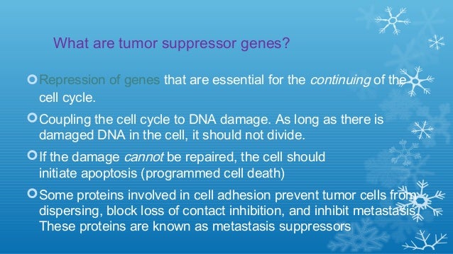 tumor suppressor gene tumor suppressor genes