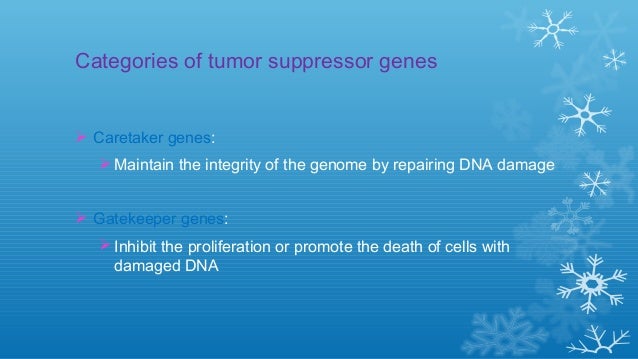 Tumor Suppressor Gene Biology Diagrams