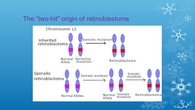 Tumor Suppressor Gene