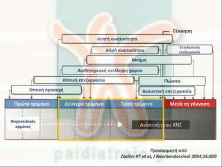 Πρώτο τρίμηνο Δεύτερο τρίμηνο Τρίτο τρίμηνο Μετά τη γέννηση
Ανάπτυξη του ΚΝΣ
Θυρεοειδικές
ορμόνες
Οπτική προσοχή
Οπτική επεξεργασία
Ακουστική επεξεργασία
Γλώσσα
Μνήμη
Αδρή κινητικότητα
Αισθητηριακή αντίληψη χώρου
Εκτελεστική
επεξεργασία
Λεπτή κινητικότητα
Γέννηση
Προσαρμογή από
Zoeller RT et al, J Neuroendocrinol 2004;16:809
 