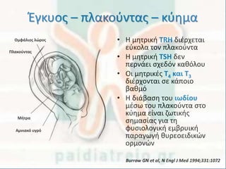 Έγκυος – πλακούντας – κύημα
• Η μητρική TRH διέρχεται
εύκολα τον πλακούντα
• Η μητρική TSH δεν
περνάει σχεδόν καθόλου
• Οι μητρικές Τ4 και Τ3
διέρχονται σε κάποιο
βαθμό
• Η διάβαση του ιωδίου
μέσω του πλακούντα στο
κύημα είναι ζωτικής
σημασίας για τη
φυσιολογική εμβρυική
παραγωγή θυρεοειδικών
ορμονών
Ομφάλιος λώρος
Πλακούντας
Αμνιακό υγρό
Μήτρα
Burrow GN et al, N Engl J Med 1994;331:1072
 