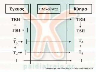 Προσαρμογή από Chan S et al, J Endocrinol 2000;165:1
Έγκυος Πλακούντας Κύημα
I I
 