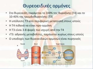 Θυρεοειδικές ορμόνες
• Στο θυρεοειδή παράγεται το 100% της θυροξίνης (Τ4) και το
10-40% της τριιωδοθυρονίνης (Τ3)
• Η υπόλοιπη Τ3 από περιφερική μετατροπή στους ιστούς
• Η Τ4 πιθανά να είναι προ-ορμόνη
• Η Τ3 είναι 3-8 φορές πιο ισχυρή από την Τ4
• rT3: αδρανής μεταβολίτης, παράγεται κυρίως στους ιστούς
• Ο υποδοχές των θυρεοειδικών ορμονών είναι πυρηνικός
 