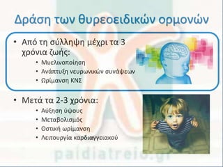 Δράση των θυρεοειδικών ορμονών
• Από τη σύλληψη μέχρι τα 3
χρόνια ζωής:
• Μυελινοποίηση
• Ανάπτυξη νευρωνικών συνάψεων
• Ωρίμανση ΚΝΣ
• Μετά τα 2-3 χρόνια:
• Αύξηση ύψους
• Μεταβολισμός
• Οστική ωρίμανση
• Λειτουργία καρδιαγγειακού
 