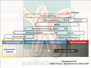 Πρώτο τρίμηνο Δεύτερο τρίμηνο Τρίτο τρίμηνο Μετά τη γέννηση
Ανάπτυξη του ΚΝΣ
Θυρεοειδικές
ορμόνες
Οπτική προσοχή
Οπτική επεξεργασία
Ακουστική επεξεργασία
Γλώσσα
Μνήμη
Αδρή κινητικότητα
Αισθητηριακή αντίληψη χώρου
Εκτελεστική
επεξεργασία
Λεπτή κινητικότητα
Γέννηση
Προσαρμογή από
Zoeller RT et al, J Neuroendocrinol 2004;16:809
 