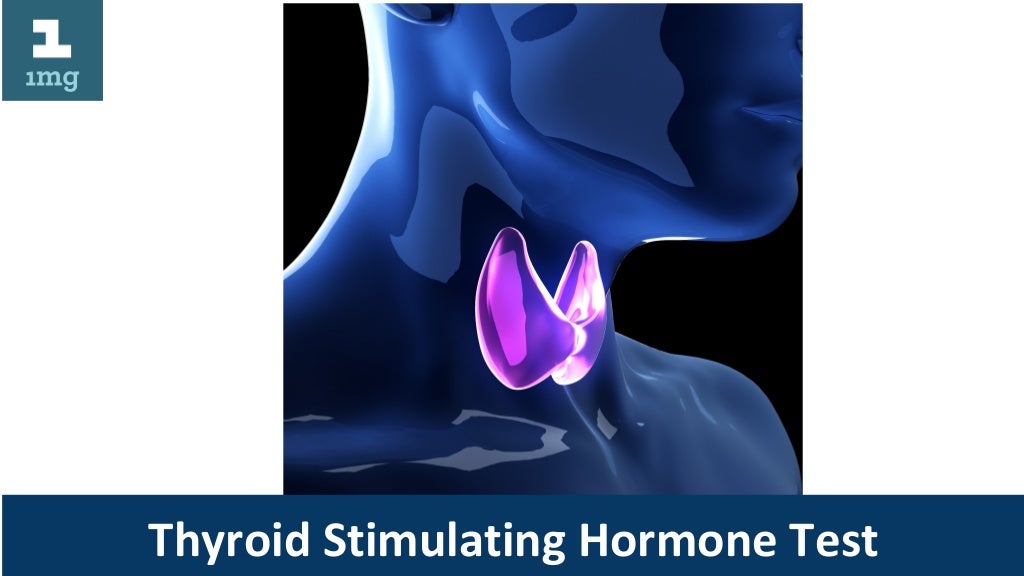 Thyroid Stimulating Hormone Test thyroid-stimulating-hormone-test