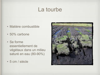 La tourbe
• Matière combustible
• 50% carbone
• Se forme
essentiellement de
végétaux dans un milieu
saturé en eau (80-90%)
• 5 cm / siècle
 
