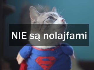 NIE są nolajfami
 