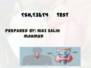 TSH,T3&T4      test

Prepared by: niaz salih
       mahmud
 