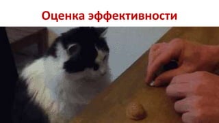 Оценка эффективности 
 