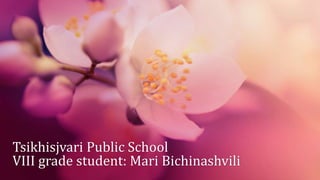 Tsikhisjvari Public School
VIII grade student: Mari Bichinashvili
 