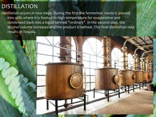 DISTILLATION
Distillation occurs in two steps. During the first the fermented mosto is passed
    into stills where it is heated to high temperature for evaporation and
    condensed back into a liquid termed "ordinary". In the second step, the
    alcohol volume increases and the product is refined. This final distillation step
    results in Tequila.
 