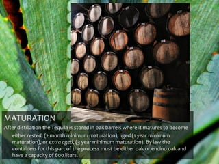 MATURATION
After distillation the Tequila is stored in oak barrels where it matures to become
   either rested, (2 month minimum maturation), aged (1 year minimum
   maturation), or extra aged, (3 year minimum maturation). By law the
   containers for this part of the process must be either oak or encino oak and
   have a capacity of 600 liters.
 