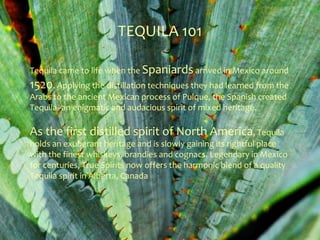 TEQUILA 101

Tequila came to life when the Spaniards arrived in Mexico around
1520. Applying the distillation techniques they had learned from the
Arabs to the ancient Mexican process of Pulque, the Spanish created
Tequila--an enigmatic and audacious spirit of mixed heritage.

As the first distilled spirit of North America, Tequila
holds an exuberant heritage and is slowly gaining its rightful place
with the finest whiskeys, brandies and cognacs. Legendary in Mexico
for centuries, True Spirits now offers the harmonic blend of a quality
Tequila spirit in Alberta, Canada
 