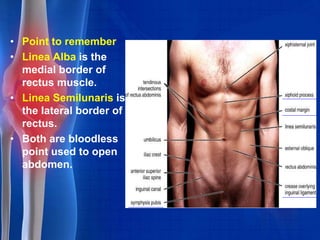 Muscular system pharma[1] | PPTX