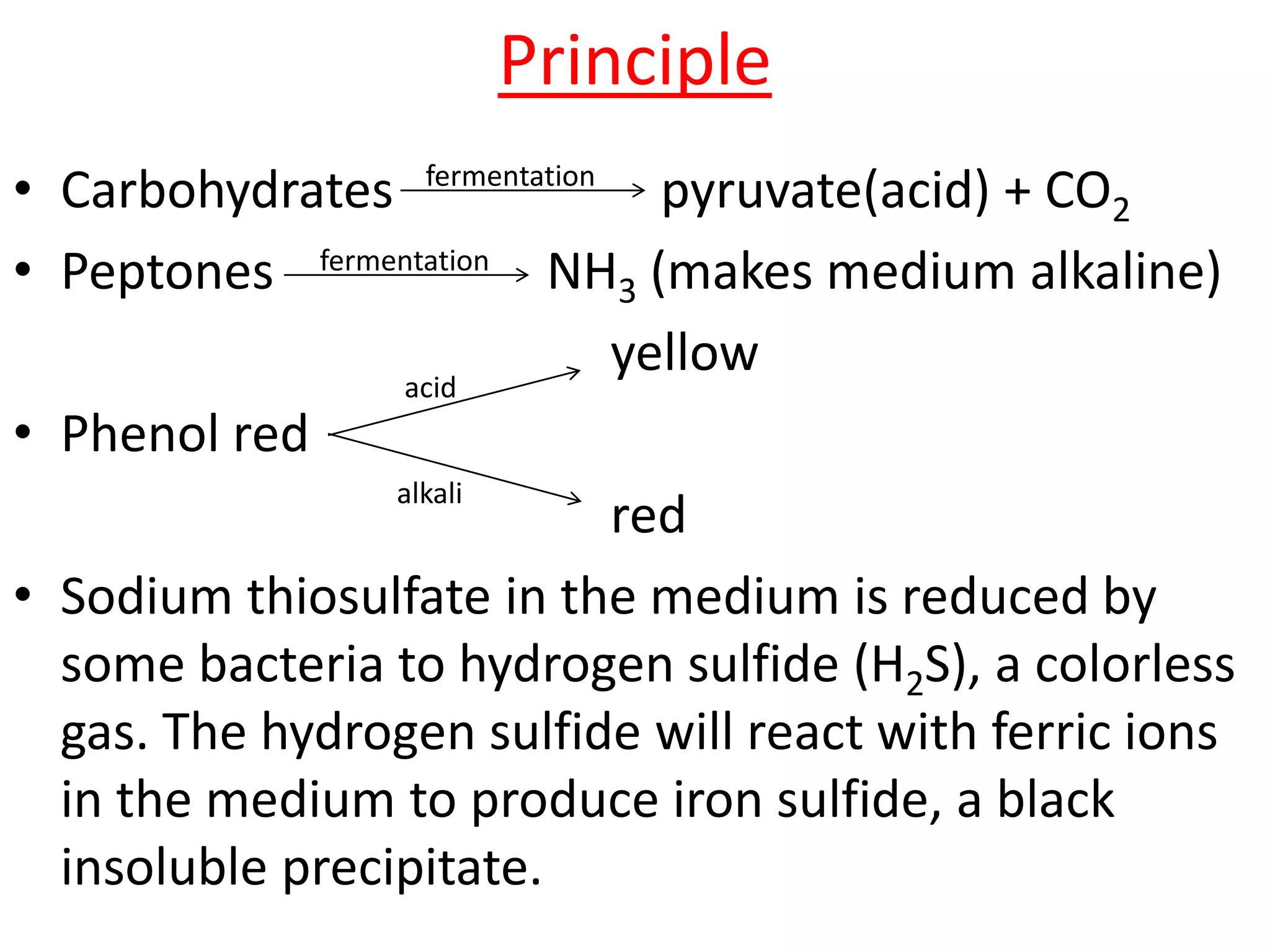 Principle
• Carbohydrates pyruvate(acid) + CO2
• Peptones NH3 (makes medium alkaline)
yellow
• Phenol red
red
• Sodium thiosulfate in the medium is reduced by
some bacteria to hydrogen sulfide (H2S), a colorless
gas. The hydrogen sulfide will react with ferric ions
in the medium to produce iron sulfide, a black
insoluble precipitate.
fermentation
fermentation
acid
alkali
 