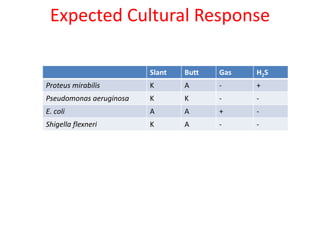 Expected Cultural Response
Slant Butt Gas H2S
Proteus mirabilis K A - +
Pseudomonas aeruginosa K K - -
E. coli A A + -
Shigella flexneri K A - -
 