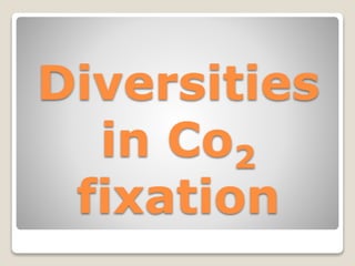 Diversities
in Co2
fixation
 
