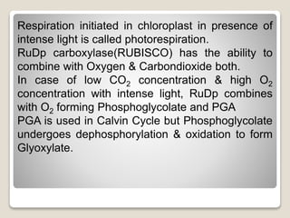 Respiration initiated in chloroplast in presence of
intense light is called photorespiration.
RuDp carboxylase(RUBISCO) has the ability to
combine with Oxygen & Carbondioxide both.
In case of low CO2 concentration & high O2
concentration with intense light, RuDp combines
with O2 forming Phosphoglycolate and PGA
PGA is used in Calvin Cycle but Phosphoglycolate
undergoes dephosphorylation & oxidation to form
Glyoxylate.
 