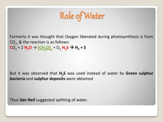 Formerly it was thought that Oxygen liberated during photosynthesis is from
CO2, & the reaction is as follows:
CO2 + 2 H2O → (CH2O)n + O2 H2S  H2 + S
Role of Water
But it was observed that H2S was used instead of water by Green sulphur
bacteria and sulphur deposits were obtained
Thus Van Neil suggested splitting of water.
 