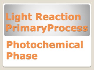 Light Reaction
PrimaryProcess
Photochemical
Phase
 