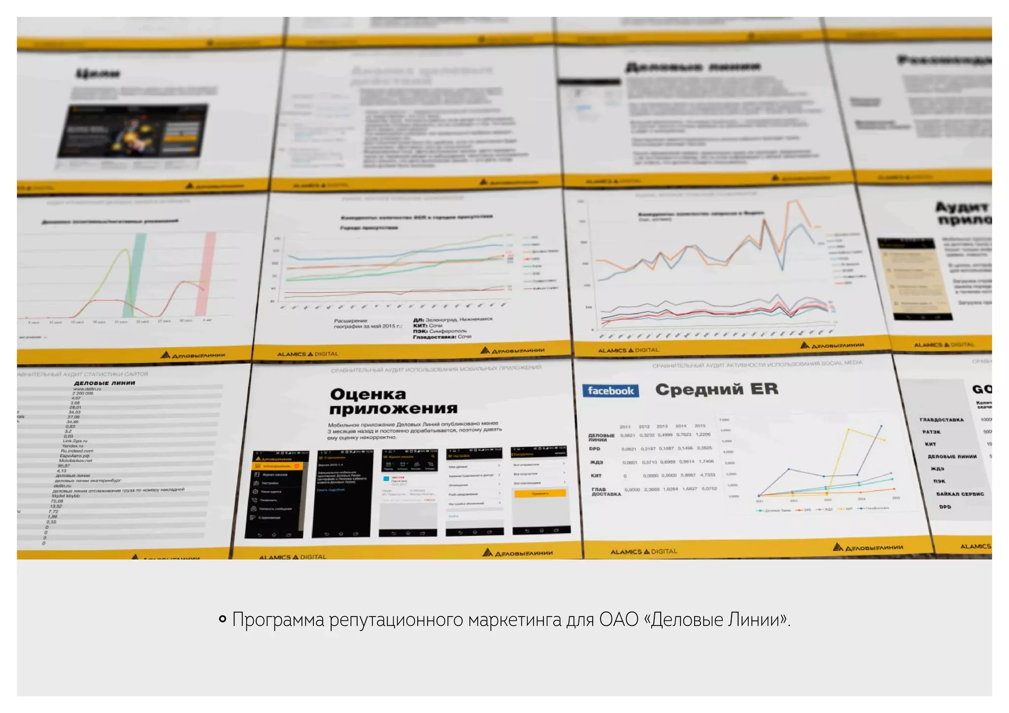 ￮ Программа репутационного маркетинга для ОАО «Деловые Линии».
 