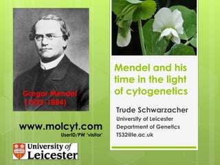 Mendel and his
time in the light
of cytogenetics
Trude Schwarzacher
University of Leicester
Department of Genetics
TS32@le.ac.uk
Gregor Mendel
(1822-1884)
www.molcyt.com
UserID/PW ‘visitor’
 
