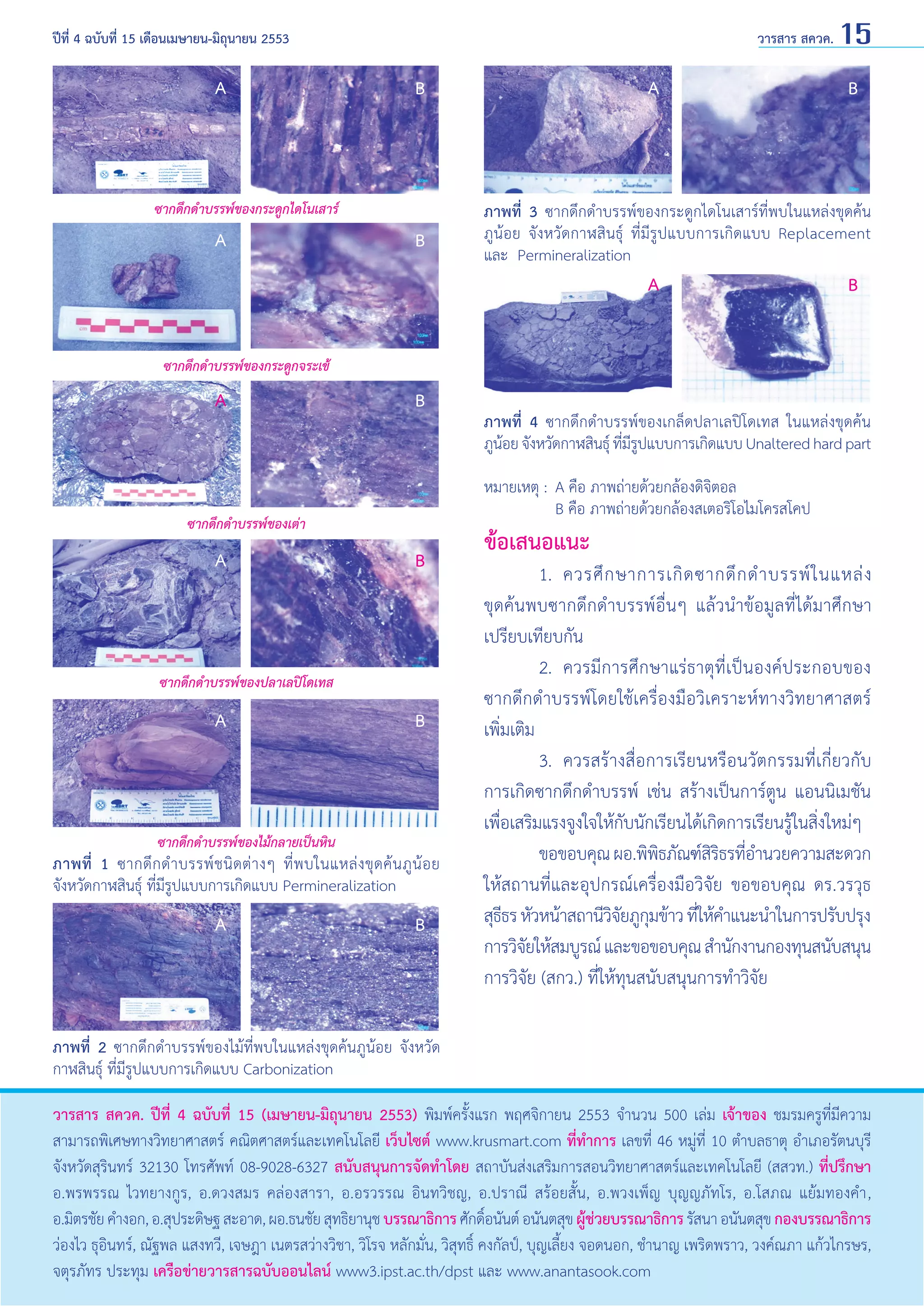 วารสาร สควค. 15

ปีที่ 4 ฉบับที่ 15 เดือนเมษายน-มิถุนายน 2553	

A

ซากดึกดำ�บรรพ์ของกระดูกไดโนเสาร์

A

A

B

B

B

ภาพที่ 3 ซากดึกดำ�บรรพ์ของกระดูกไดโนเสาร์ที่พบในแหล่งขุดค้น
ภูน้อย จังหวัดกาฬสินธุ์ ที่มีรูปแบบการเกิดแบบ Replacement
และ Permineralization

A

B

ซากดึกดำ�บรรพ์ของกระดูกจระเข้

A

B

หมายเหตุ :	 A คือ ภาพถ่ายด้วยกล้องดิจิตอล
	
B คือ ภาพถ่ายด้วยกล้องสเตอริโอไมโครสโคป

ซากดึกดำ�บรรพ์ของเต่า

A

B

ซากดึกดำ�บรรพ์ของปลาเลปิโดเทส

A

B

ซากดึกดำ�บรรพ์ของไม้กลายเป็นหิน

ภาพที่ 1 ซากดึ ก ดำ � บรรพ์ ช นิ ด ต่ า งๆ ที่ พ บในแหล่ ง ขุ ด ค้ น ภู น้ อ ย
จังหวัดกาฬสินธุ์ ที่มีรูปแบบการเกิดแบบ Permineralization

A

ภาพที่ 4 ซากดึกดำ�บรรพ์ของเกล็ดปลาเลปิโดเทส ในแหล่งขุดค้น
ภูนอย จังหวัดกาฬสินธุ์ ทีมรปแบบการเกิดแบบ Unaltered hard part
้
่ีู

B

ข้อเสนอแนะ

1. 	ควรศึ ก ษาการเกิ ด ซากดึ ก ดำ � บรรพ์ ใ นแหล่ ง
ขุดค้นพบซากดึกดำ�บรรพ์อื่นๆ แล้วนำ�ข้อมูลที่ได้มาศึกษา
เปรียบเทียบกัน
	
2. 	ควรมีการศึกษาแร่ธาตุที่เป็นองค์ประกอบของ
ซากดึกดำ�บรรพ์โดยใช้เครื่องมือวิเคราะห์ทางวิทยาศาสตร์
เพิ่มเติม
	
3. 	ควรสร้างสื่อการเรียนหรือนวัตกรรมที่เกี่ยวกับ
การเกิดซากดึกดำ�บรรพ์ เช่น สร้างเป็นการ์ตูน แอนนิเมชัน
เพื่อเสริมแรงจูงใจให้กับนักเรียนได้เกิดการเรียนรู้ในสิ่งใหม่ๆ
	
ขอขอบคุณ ผอ.พิพธภัณฑ์สรธรทีอ�นวยความสะดวก
ิ
ิิ ่ำ
ให้สถานที่และอุปกรณ์เครื่องมือวิจัย ขอขอบคุณ ดร.วรวุธ
สุธธร หัวหน้าสถานีวจยภูกมข้าว ทีให้ค�แนะนำ�ในการปรับปรุง
ี
ิั ุ
่ ำ
การวิจยให้สมบูรณ์ และขอขอบคุณ สำ�นักงานกองทุนสนับสนุน
ั
การวิจัย (สกว.) ที่ให้ทุนสนับสนุนการทำ�วิจัย
	

ภาพที่ 2 ซากดึกดำ�บรรพ์ของไม้ที่พบในแหล่งขุดค้นภูน้อย จังหวัด
กาฬสินธุ์ ที่มีรูปแบบการเกิดแบบ Carbonization
วารสาร สควค. ปีที่ 4 ฉบับที่ 15 (เมษายน-มิถุนายน 2553) พิมพ์ครั้งแรก พฤศจิกายน 2553 จำ�นวน 500 เล่ม เจ้าของ ชมรมครูที่มีความ
สามารถพิเศษทางวิทยาศาสตร์ คณิตศาสตร์และเทคโนโลยี เว็บไซต์ www.krusmart.com ที่ทำ�การ เลขที่ 46 หมู่ที่ 10 ตำ�บลธาตุ อำ�เภอรัตนบุรี
จังหวัดสุรินทร์ 32130 โทรศัพท์ 08-9028-6327 สนับสนุนการจัดทำ�โดย สถาบันส่งเสริมการสอนวิทยาศาสตร์และเทคโนโลยี (สสวท.) ที่ปรึกษา
อ.พรพรรณ ไวทยางกูร, อ.ดวงสมร คล่องสารา, อ.อรวรรณ อินทวิชญ, อ.ปราณี สร้อยสั้น, อ.พวงเพ็ญ บุญญภัทโร, อ.โสภณ แย้มทองคำ� ,
อ.มิตรชัย คำ�งอก, อ.สุประดิษฐ สะอาด, ผอ.ธนชัย สุทธิยานุช บรรณาธิการ ศักดิอนันต์ อนันตสุข ผูชวยบรรณาธิการ รัสนา อนันตสุข กองบรรณาธิการ
์
้ ่
ว่องไว ธุอินทร์, ณัฐพล แสงทวี, เจษฎา เนตรสว่างวิชา, วิโรจ หลักมั่น, วิสุทธิ์ คงกัลป์, บุญเลี้ยง จอดนอก, ชำ�นาญ เพริดพราว, วงค์ณภา แก้วไกรษร,
จตุรภัทร ประทุม เครือข่ายวารสารฉบับออนไลน์ www3.ipst.ac.th/dpst และ www.anantasook.com

 